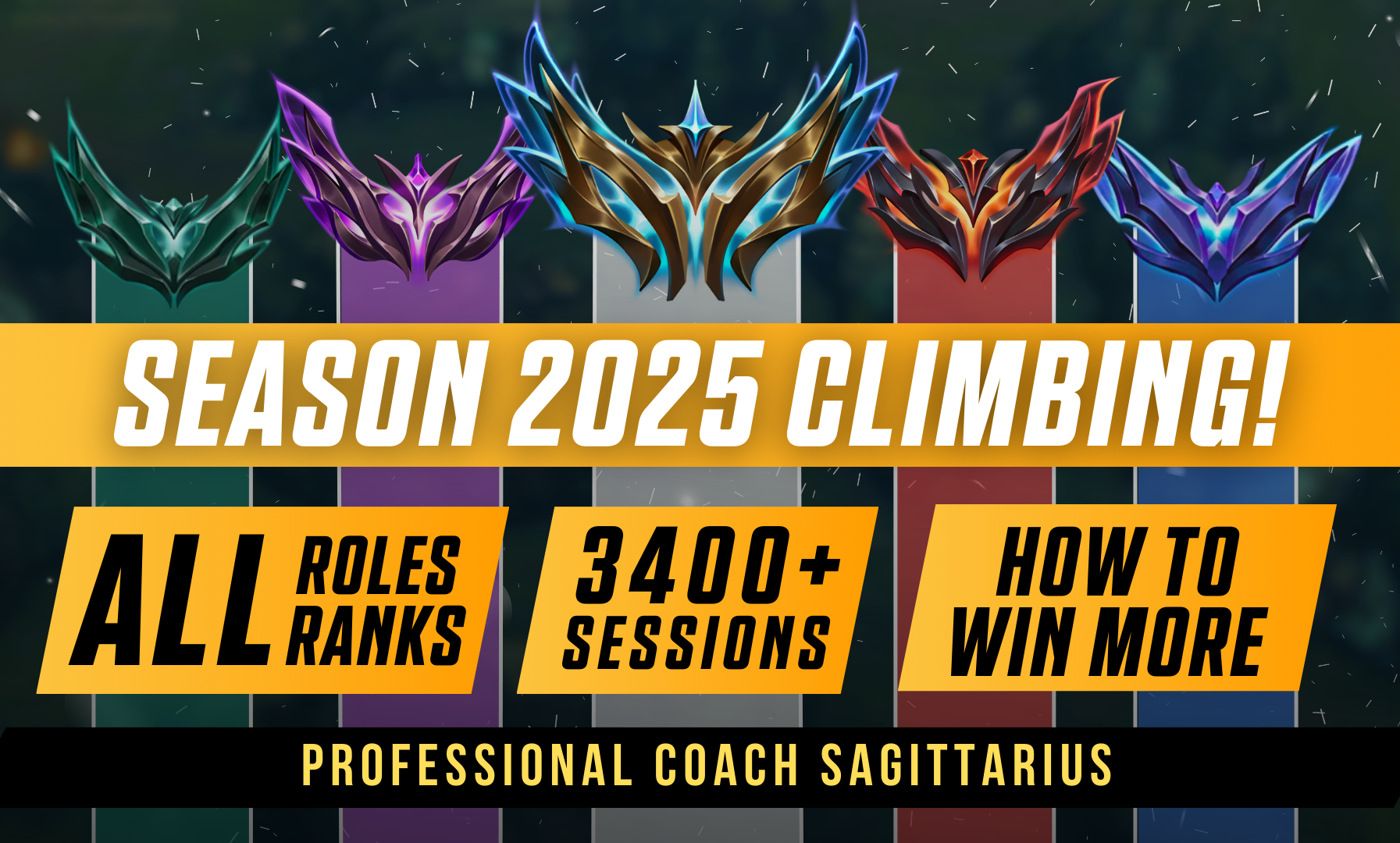 linktr.ee/coachsagi